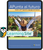 APunta al futuro - AP Spanish Language; Copyright 2027, Student Digital Package