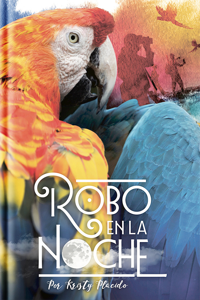 Robo en la noche - Softcover student print book  (Past and Present Tense)